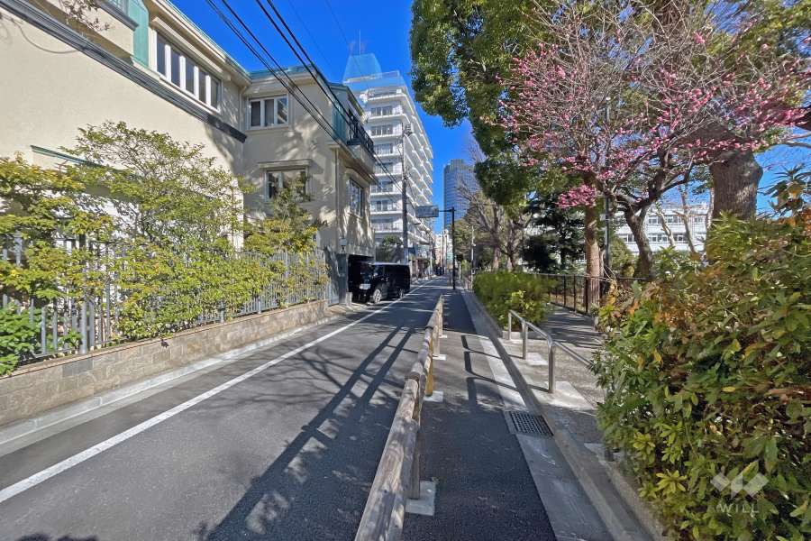 敷地の東側前面道路（南側から）