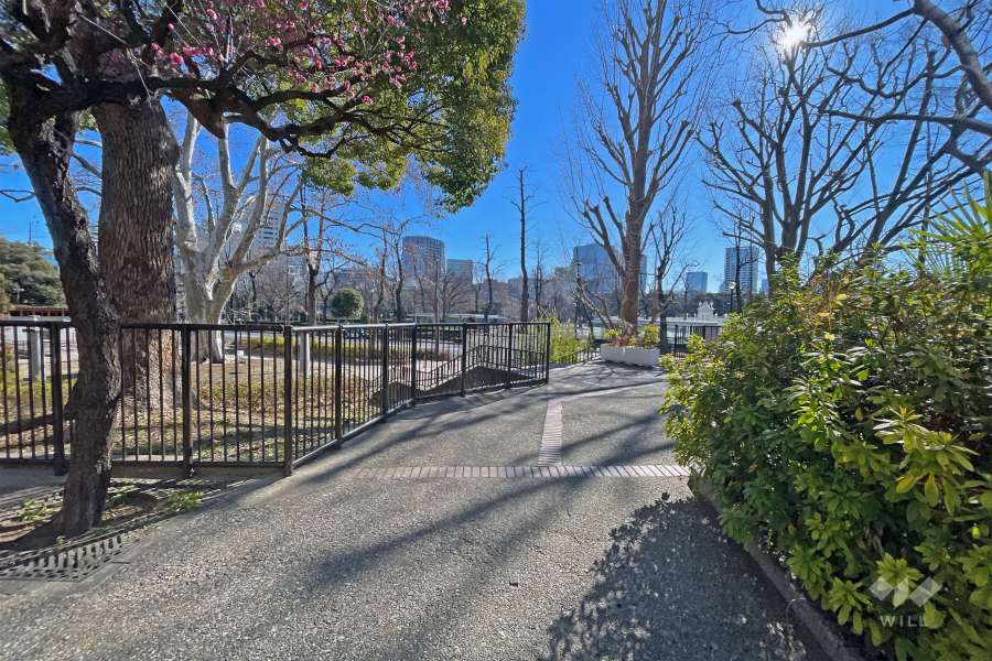 敷地に隣接した緑豊かな『四谷見附公園』