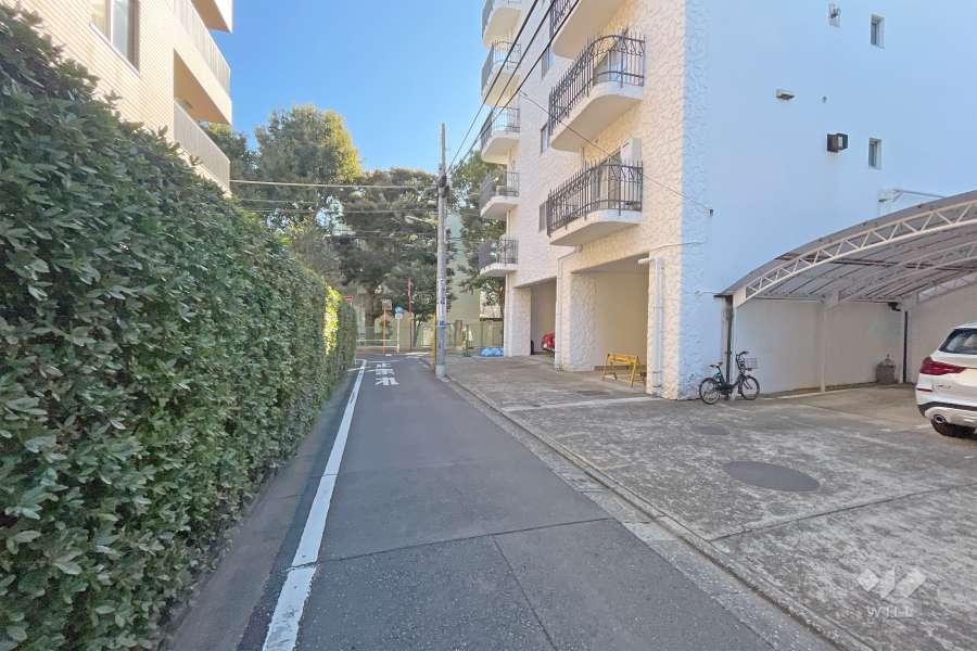 敷地北側の前面道路（西側から）