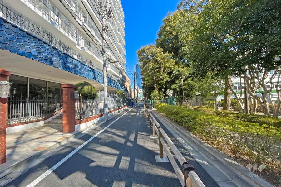 敷地東側の前面道路（南側から）