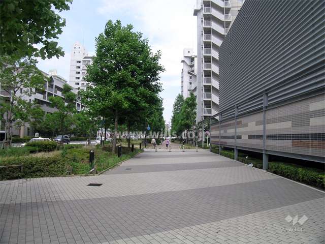 敷地の北側は街路樹のきれいな通り。歩道も広く取られています。