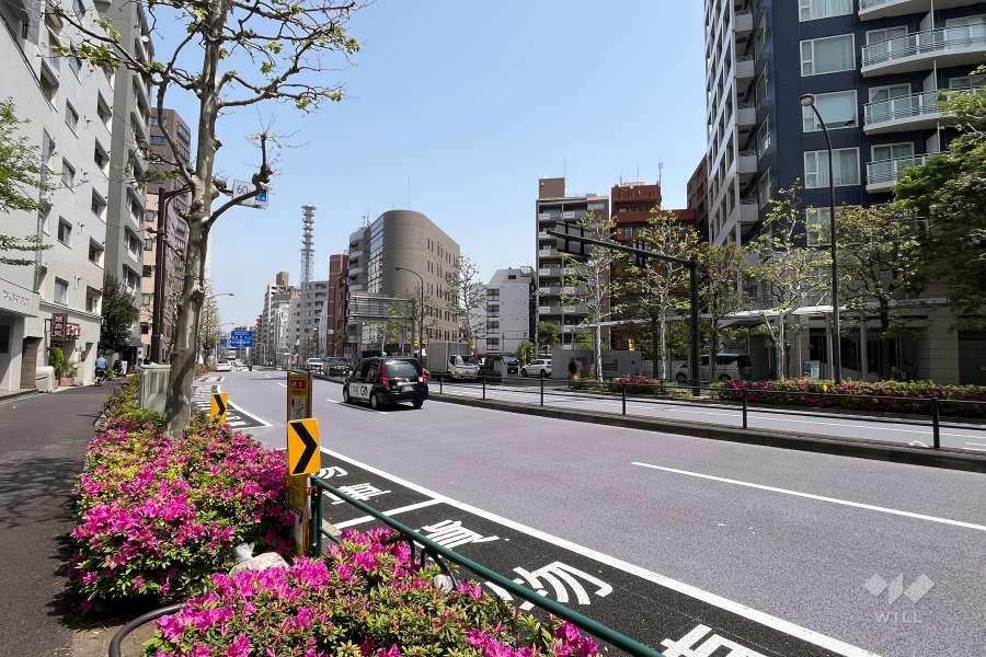 敷地西側の前面道路（南側から）