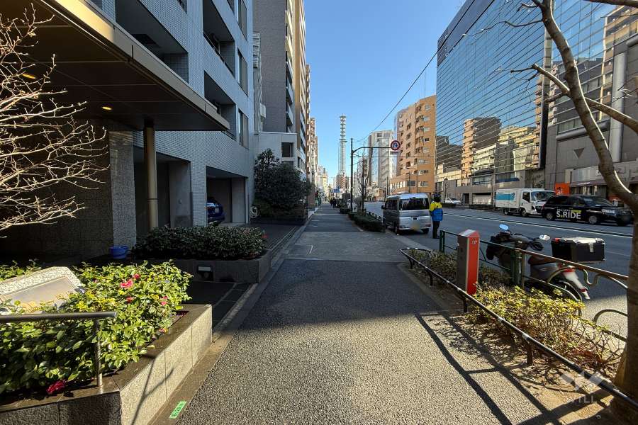 敷地の南側前面道路（西側から）