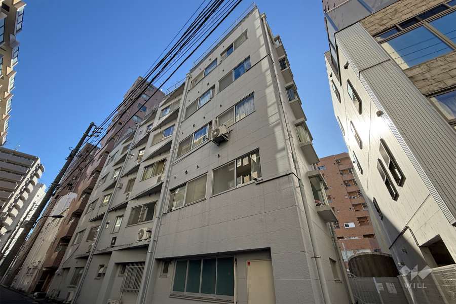 ローゼンハイム（住吉町）の外観（北西側から）