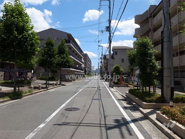 敷地北側の前面道路。周辺は区画の整った住宅地です。