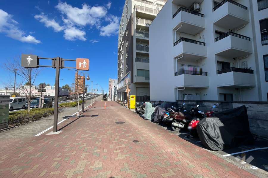 敷地の西側前面道路（南側から）