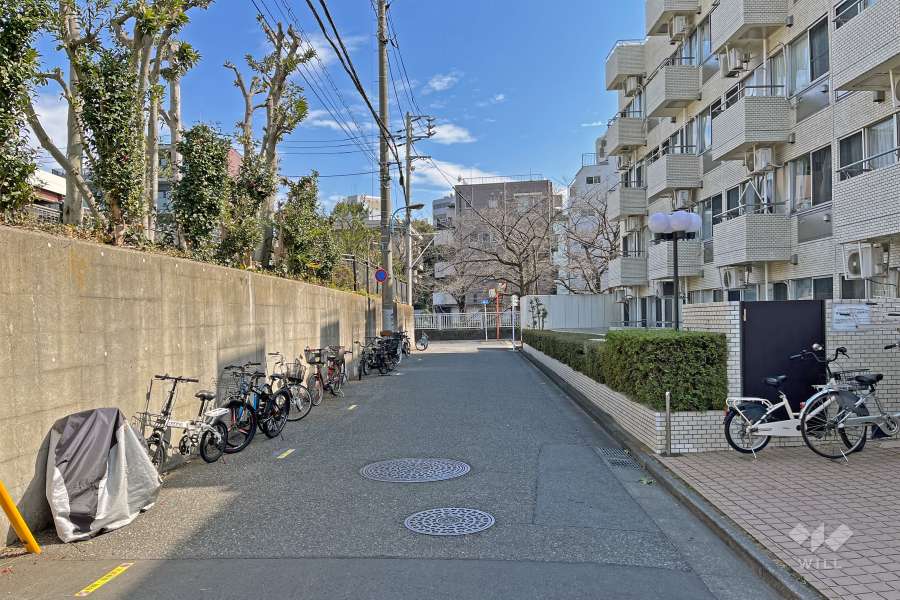 敷地の北側前面道路（西側から）