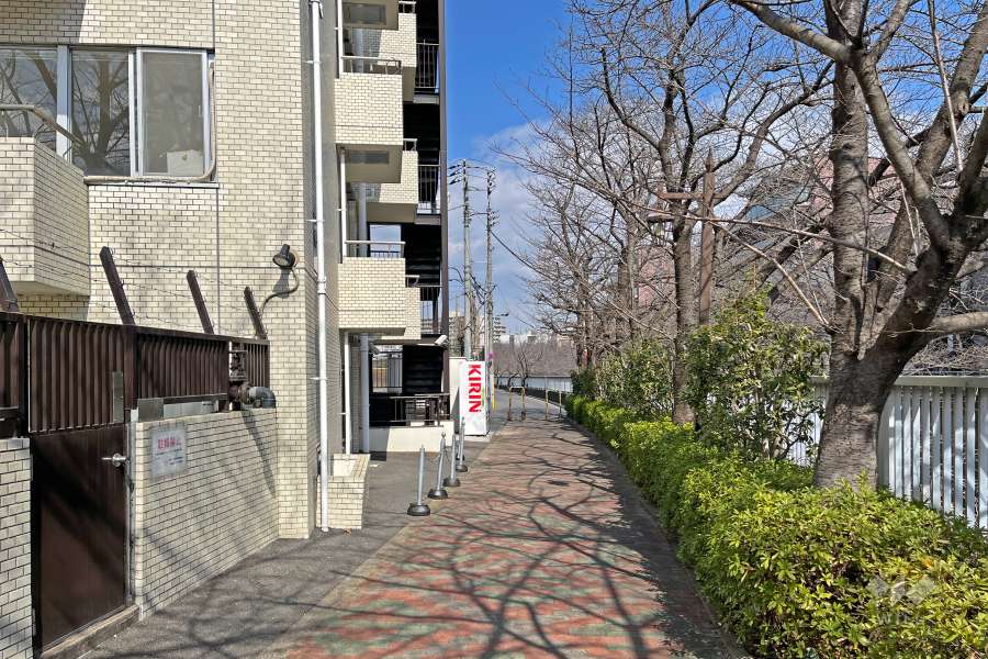 神田川沿いの散策を楽しめる敷地東側の遊歩道（南側から）