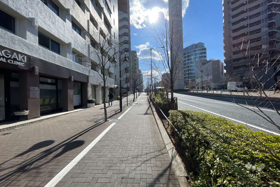 敷地の西側前面道路（北側から）