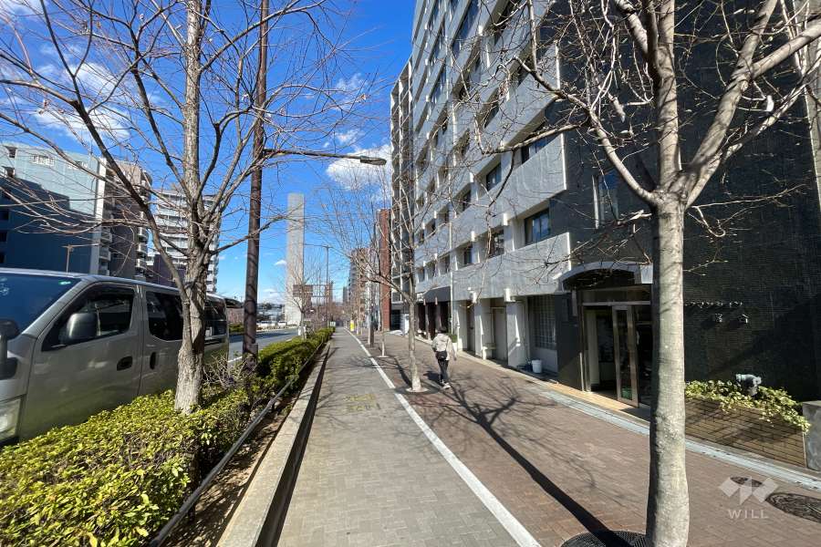 敷地の西側前面道路（南側から）