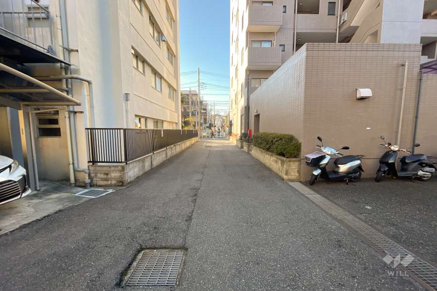 敷地東側の前面道路（北側から）