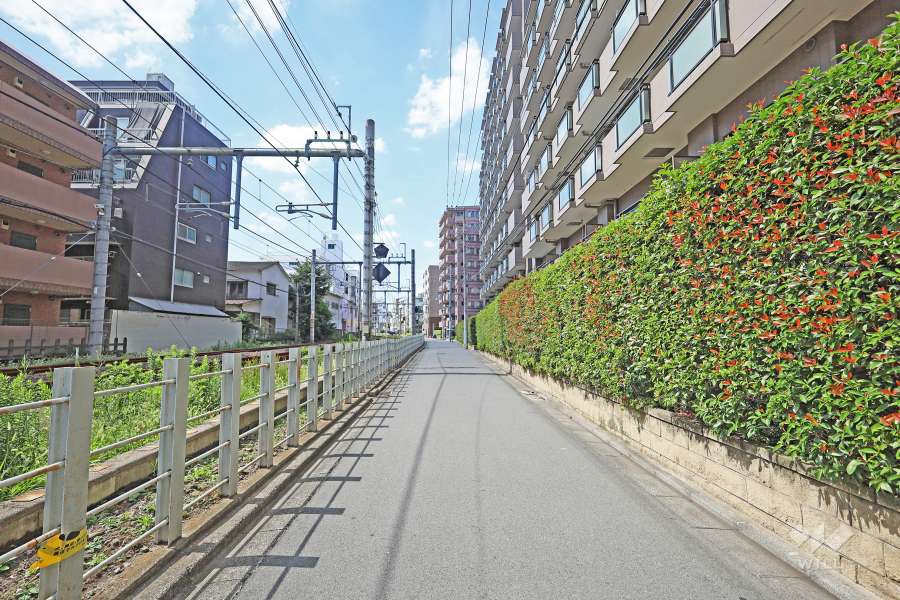 敷地南側の前面道路（東側から）