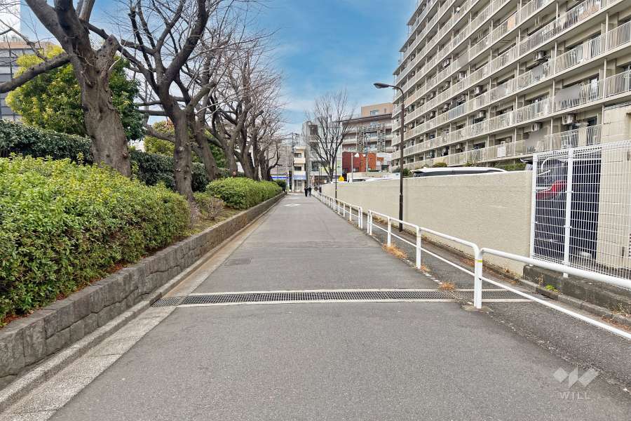 敷地の南西側前面道路（南東側から）