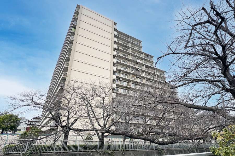 落合パークファミリアの外観（南側から）