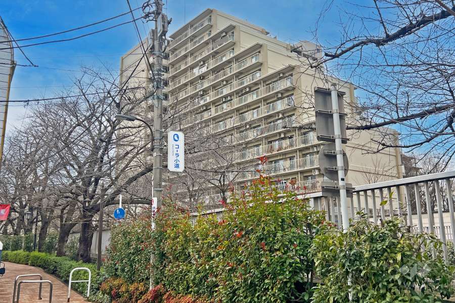 落合パークファミリアの外観（東側から）