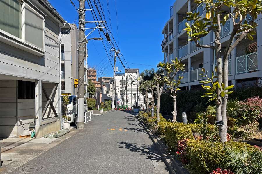 敷地の西側前面道路（南側から）