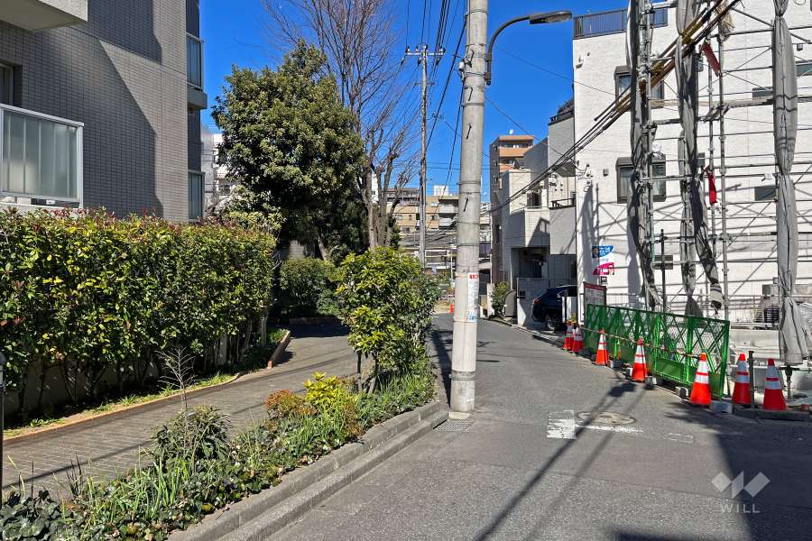 敷地の東側前面道路（南側から）