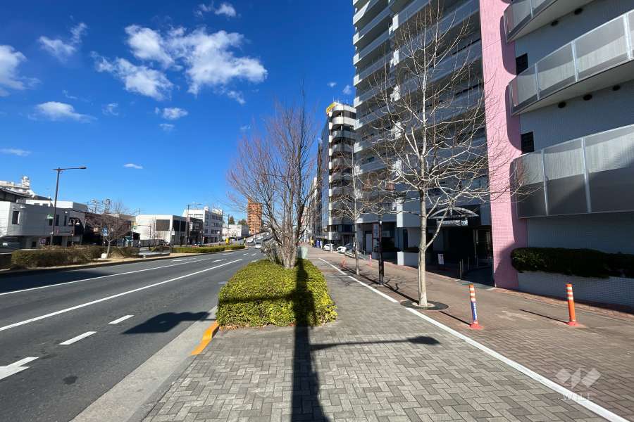 敷地西側の前面道路