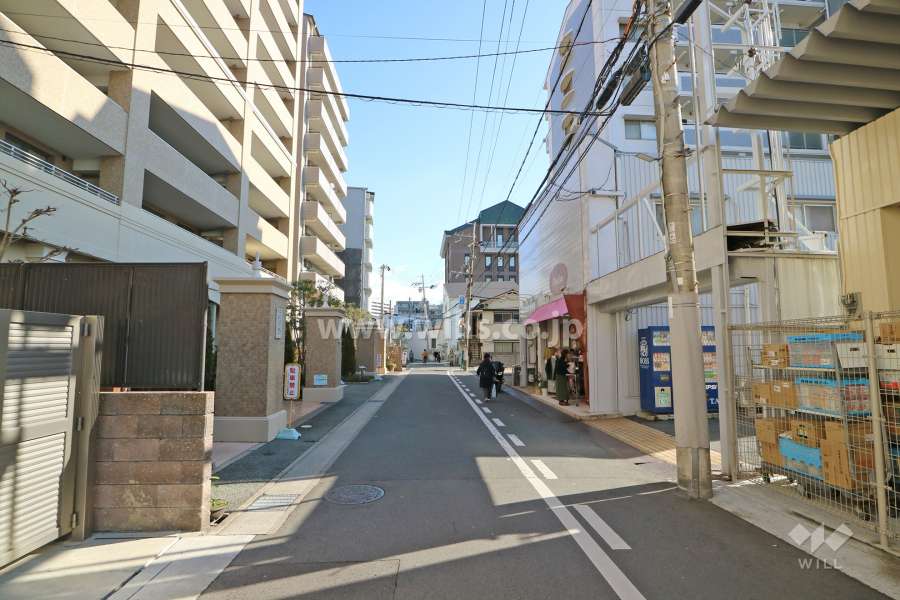 敷地南側の前面道路(西側から)