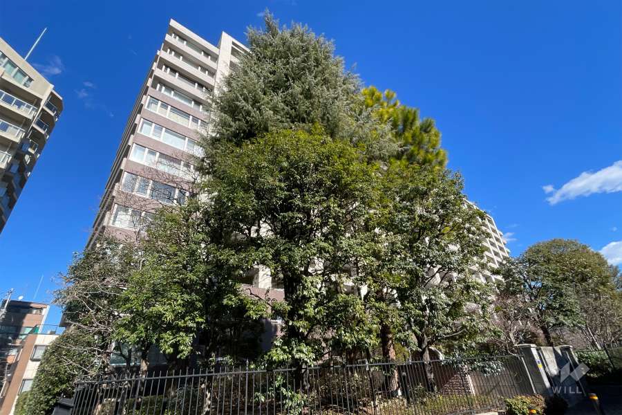 落合ハイムの外観（南西側から）