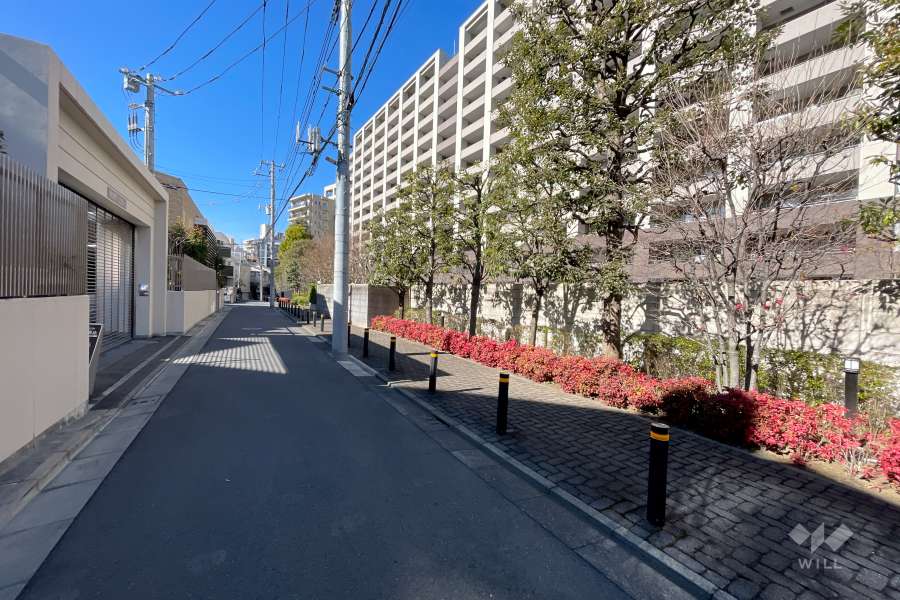 敷地南側の前面道路