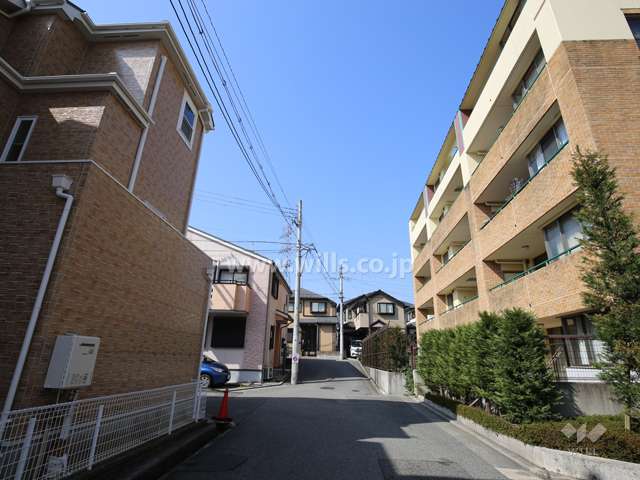 敷地南側の様子