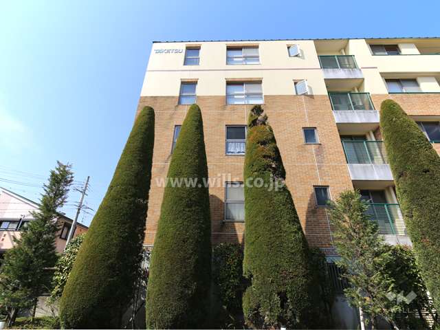 東側のファザード