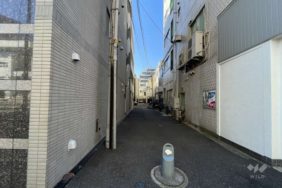 敷地の北側前面道路（西側から）