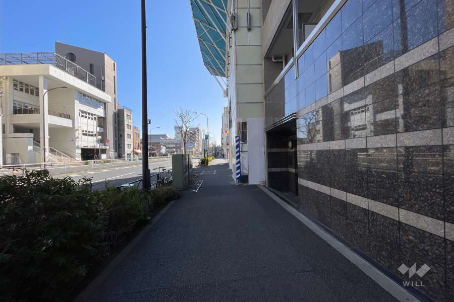 敷地の東側前面道路（北側から）