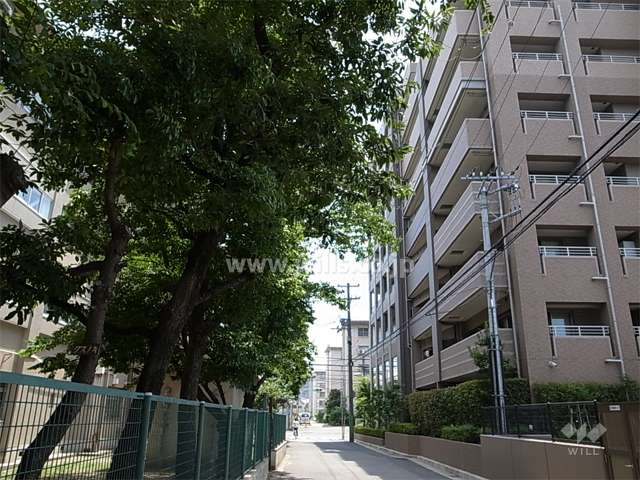 敷地の東側前面道路。道を挟んで向かい側は浜小学校です。