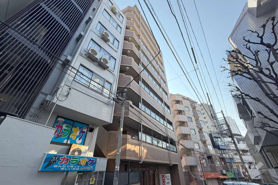 フェニックス新宿7丁目の外観（北東側から）