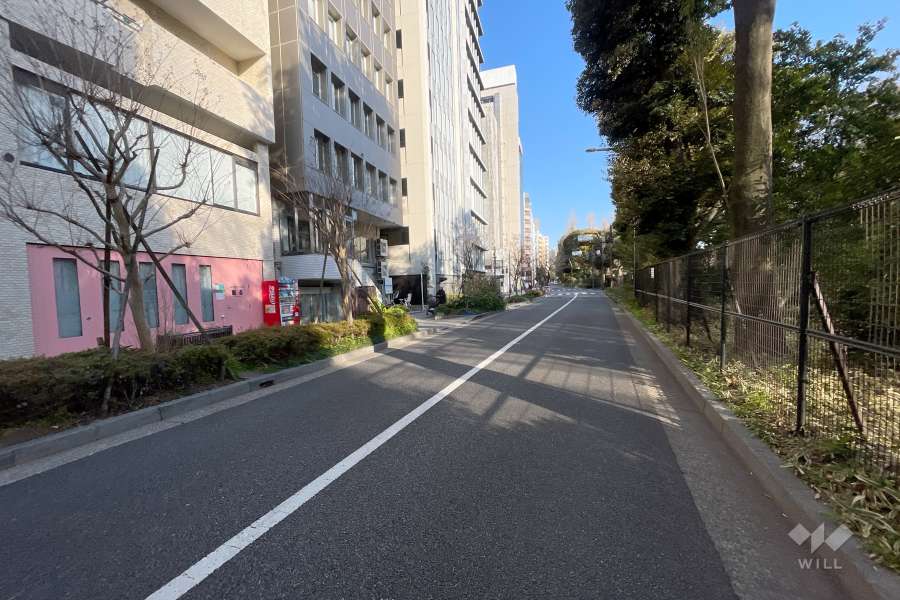 敷地南側の前面道路　