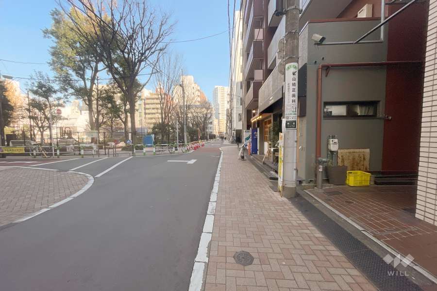 敷地北側の前面道路（西側から）