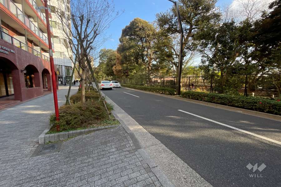 敷地南側の前面道路