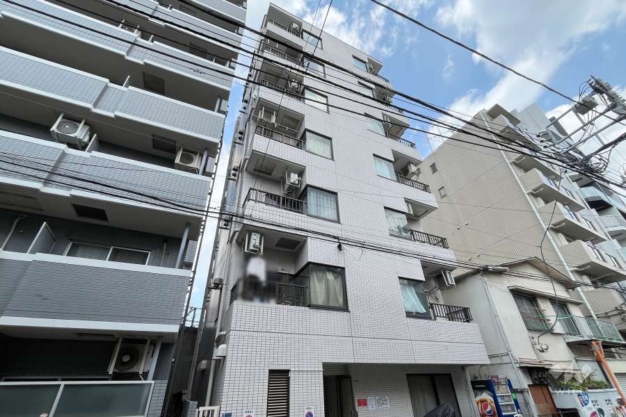 菱和パレス新宿7丁目の外観（南西側から）