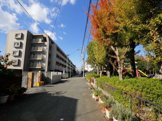 敷地北東側の前面道路。敷地の南東側に『下園公園』があります。