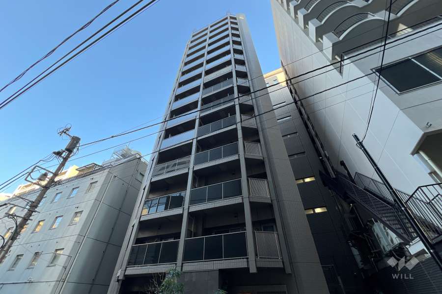 クレイシア新宿の外観（南西側から）