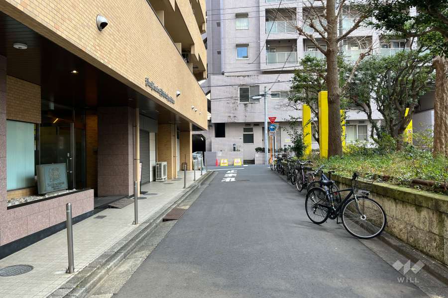 敷地の西側前面道路（北側から）