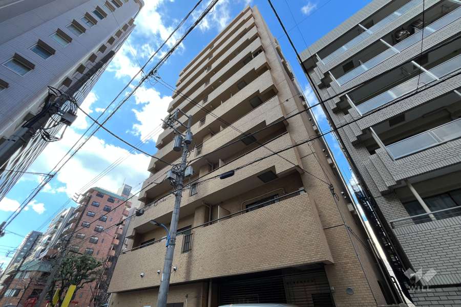 ライオンズマンション新宿東公園の外観（南東側から）