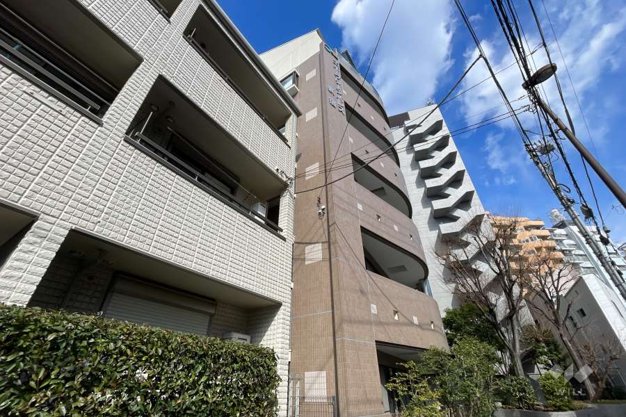 エバーグリーンパレス新宿の外観（南側から）