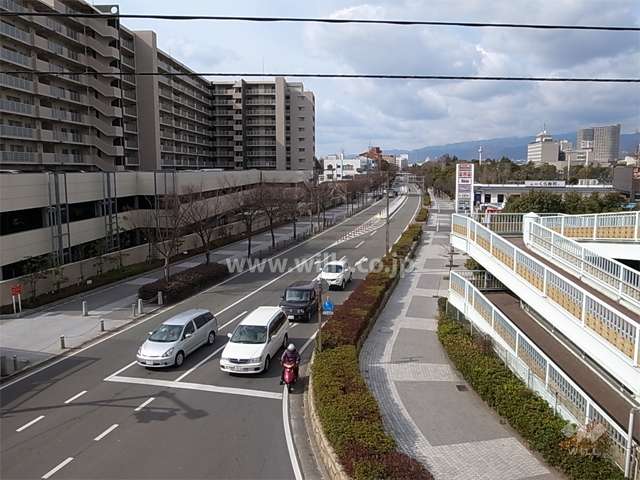 敷地の北側は街路樹のきれいな『橘通り』に面しています。