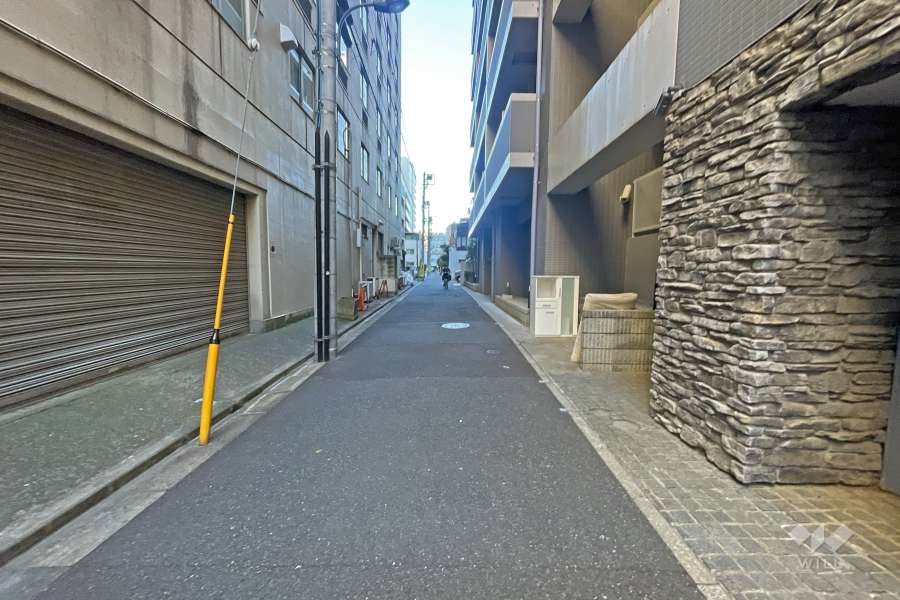 敷地の西側前面道路（南側から）