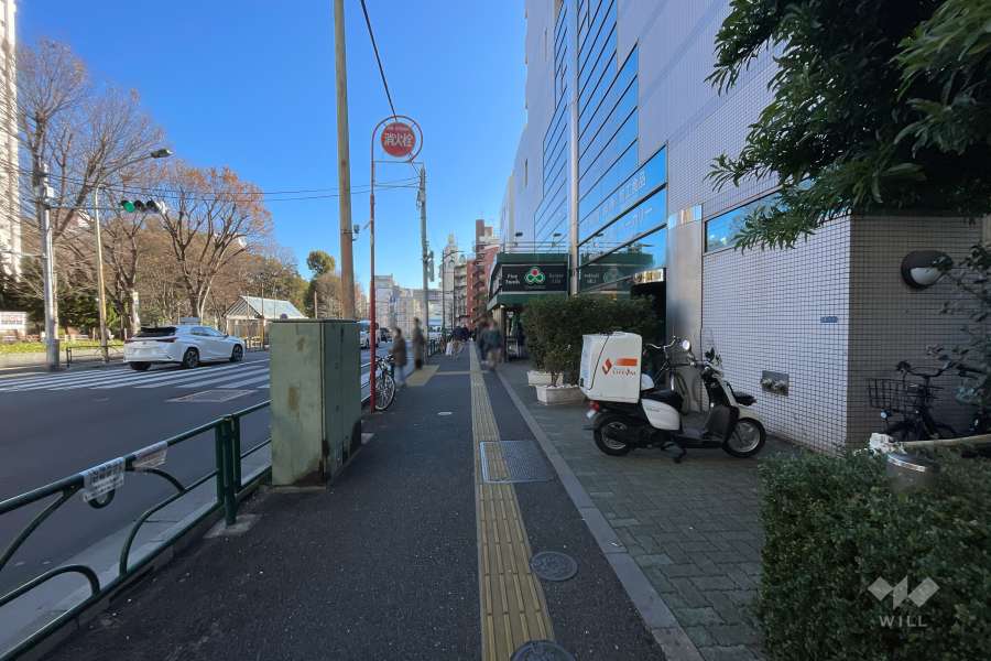 敷地北側の前面道路（西側から）