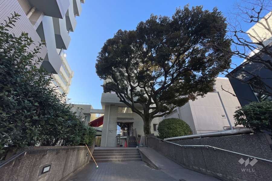 グランドメゾン戸山の外観（北側から）