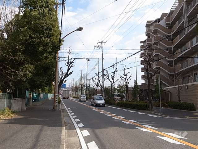 敷地の北側前面道路は、二車線のバス通りです。