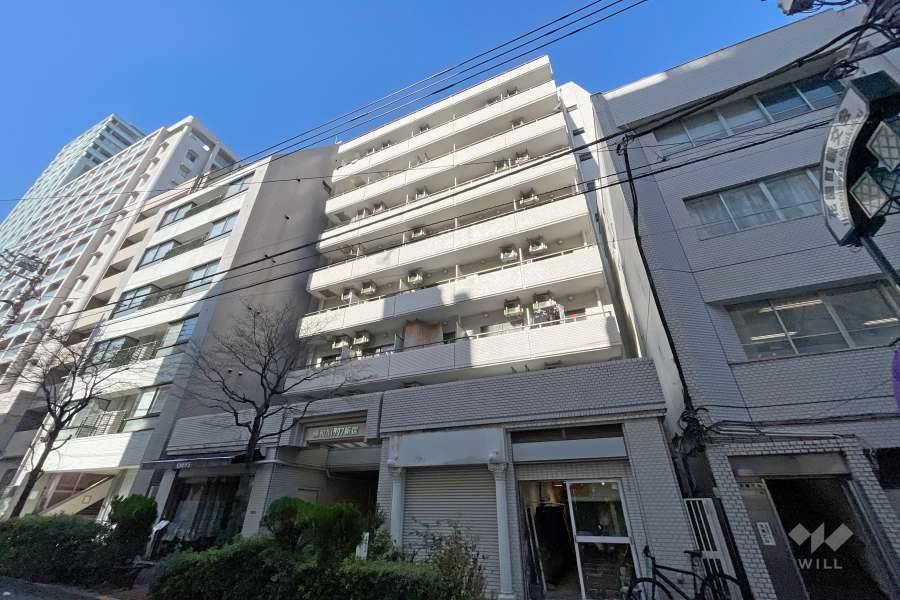 藤和ハイタウン新宿の外観（南東側から）