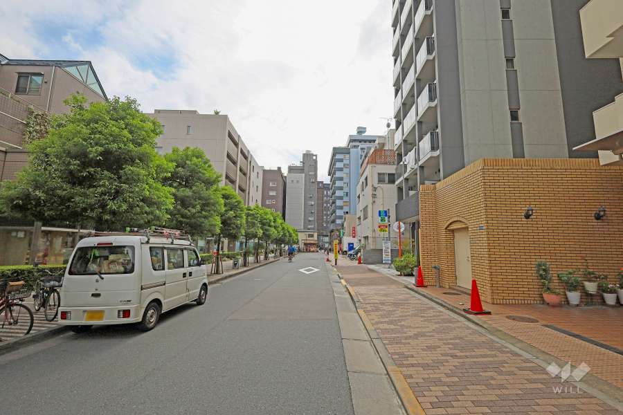 敷地東側の前面道路（北側から）