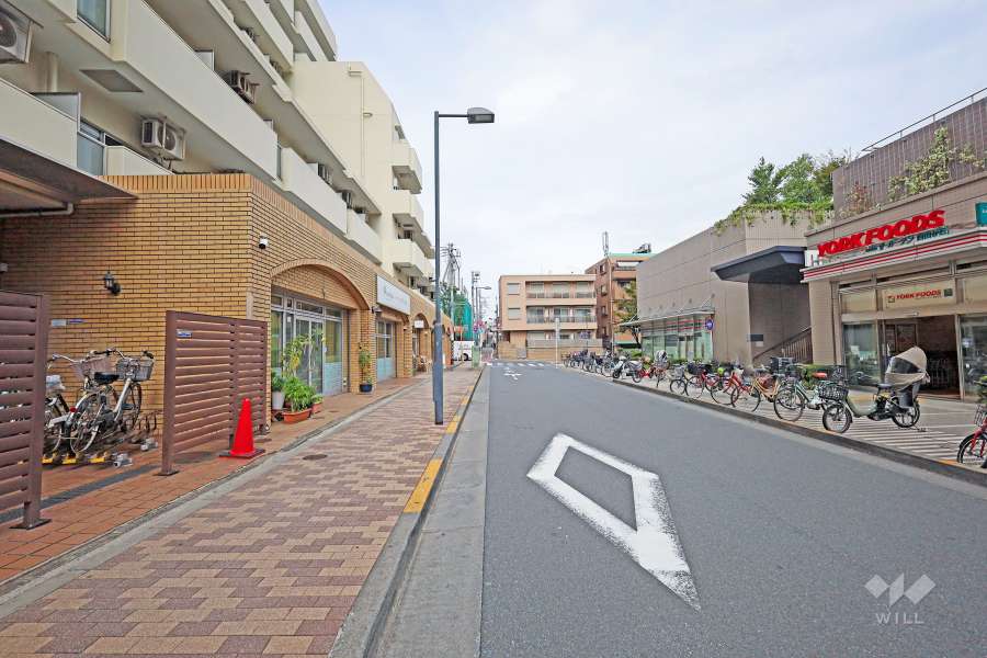 敷地東側の前面道路（南側から）