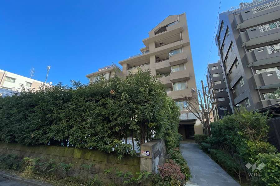 新宿7丁目ハイライズの外観（西側から）