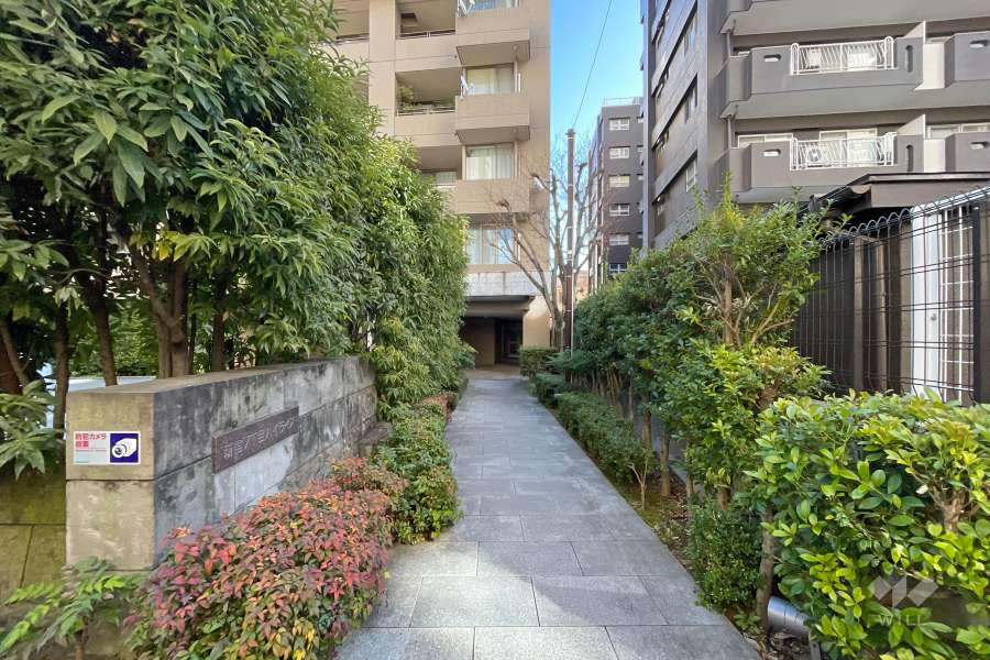 エントランスアプローチ